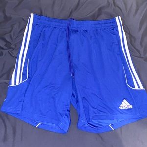 Adidas blue and white shorts